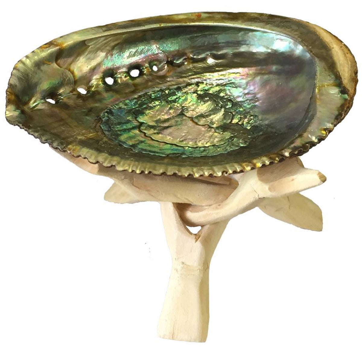 Abalone Shell Smudge Bowl with Wooden Stand