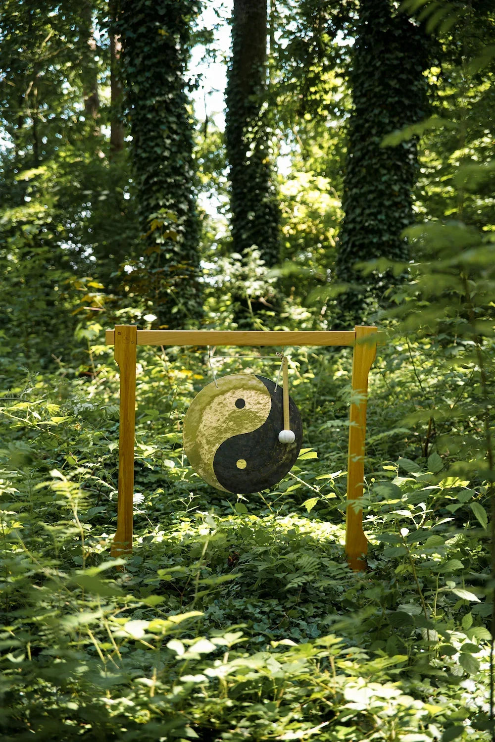 Meinl Sonic Energy 20" Yin & Yang Wind Gong