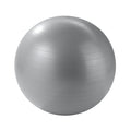 65 cm stability ball with pump