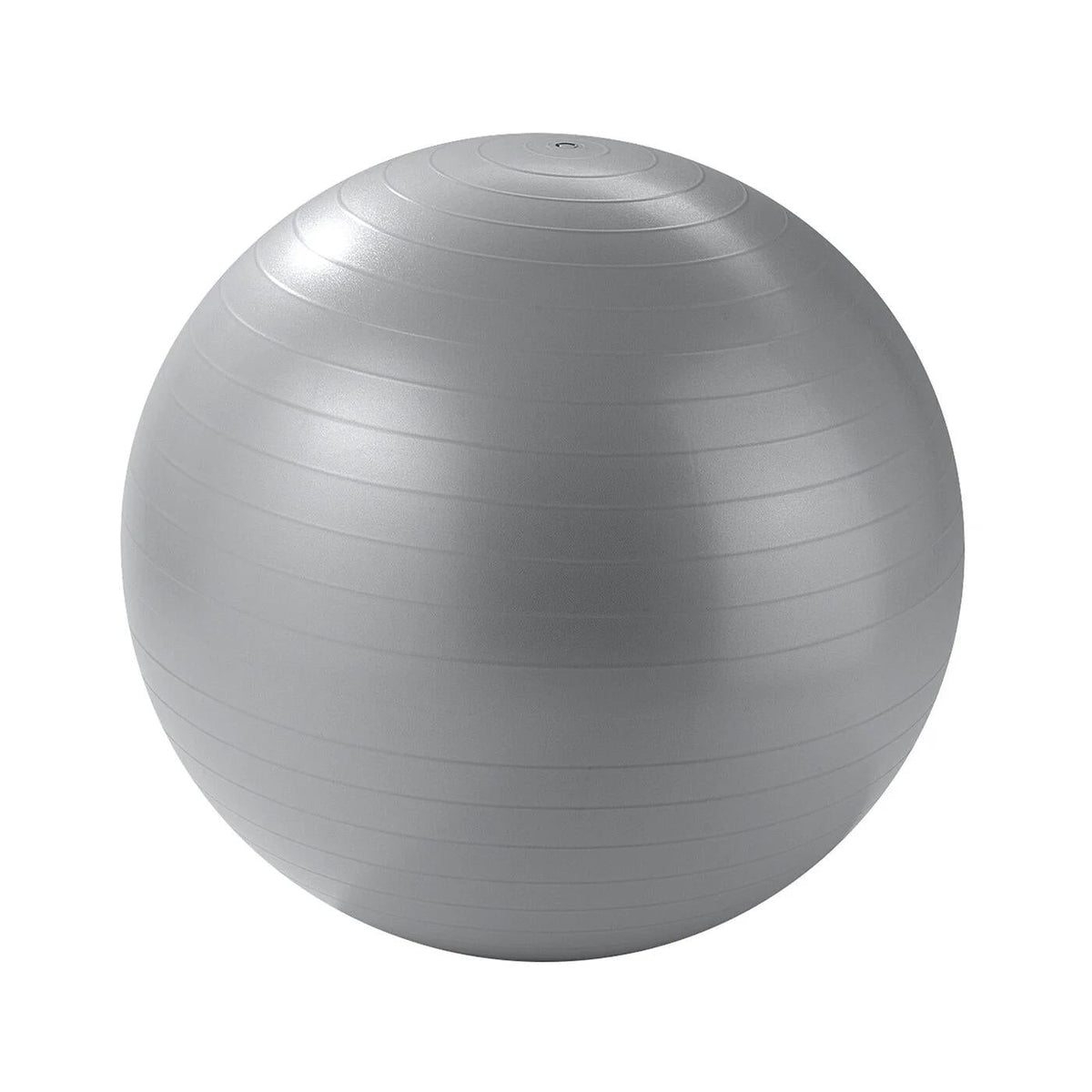 65 cm stability ball with pump